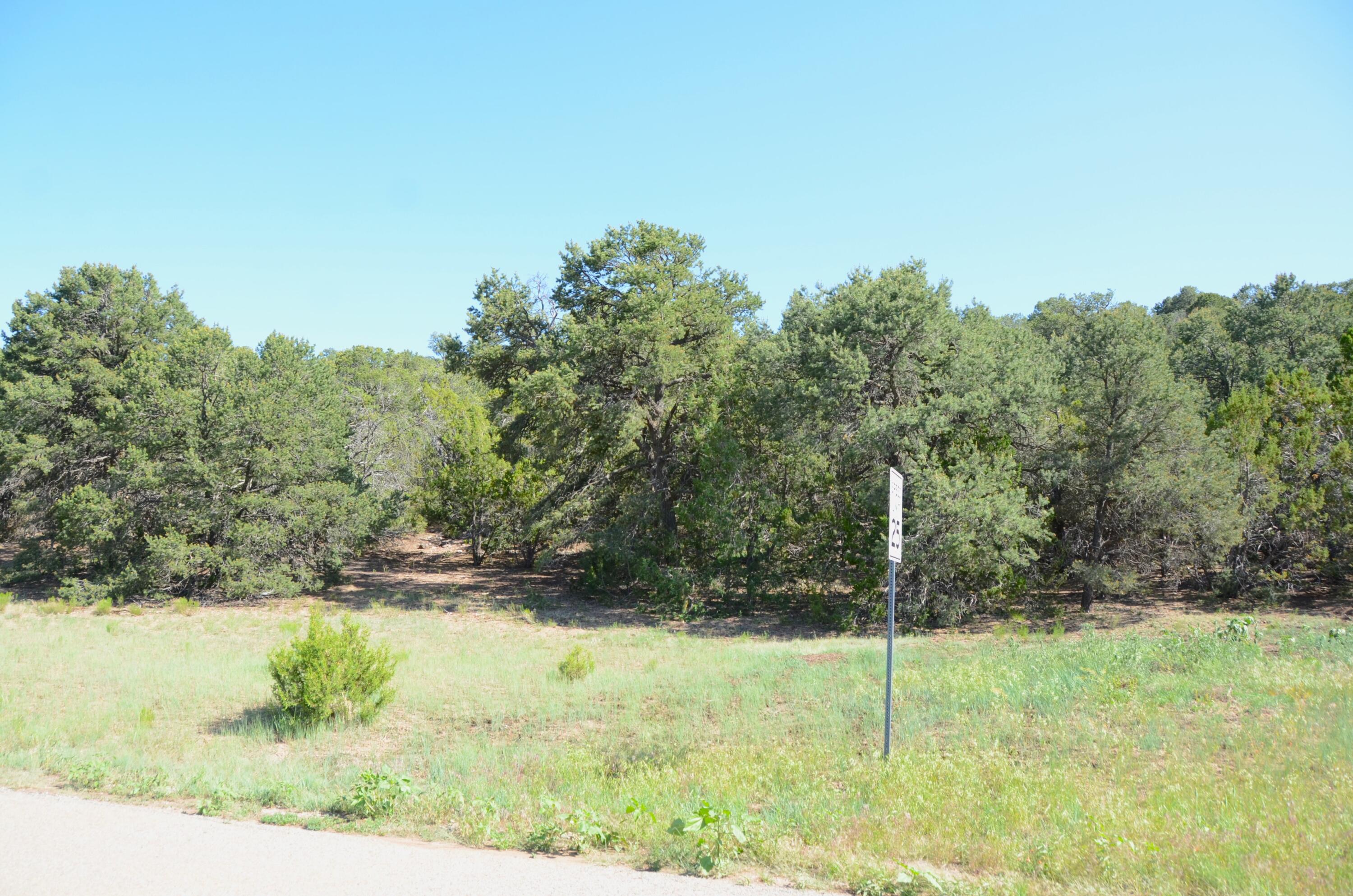 Photo 5 — 24 ANNE PICKARD Loop