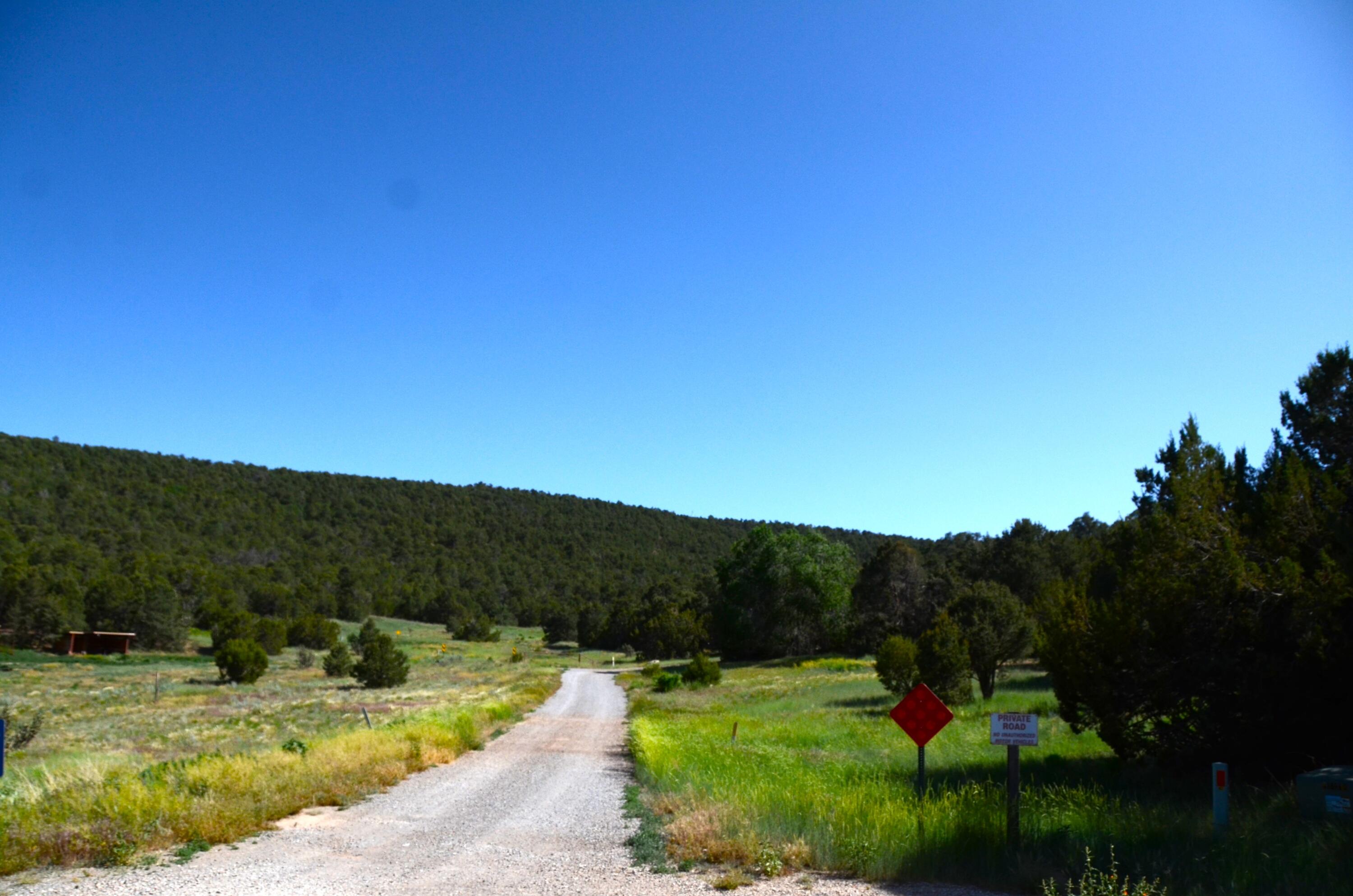 Photo 4 — 24 ANNE PICKARD Loop