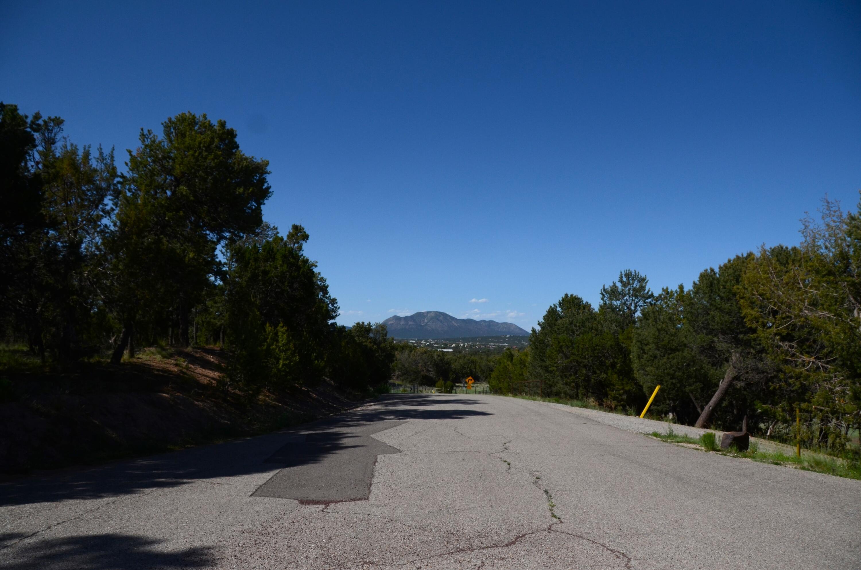Photo 3 — 24 ANNE PICKARD Loop
