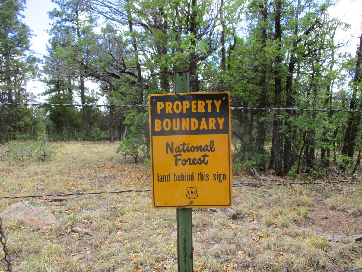 Photo 2 —  Forest Road 157