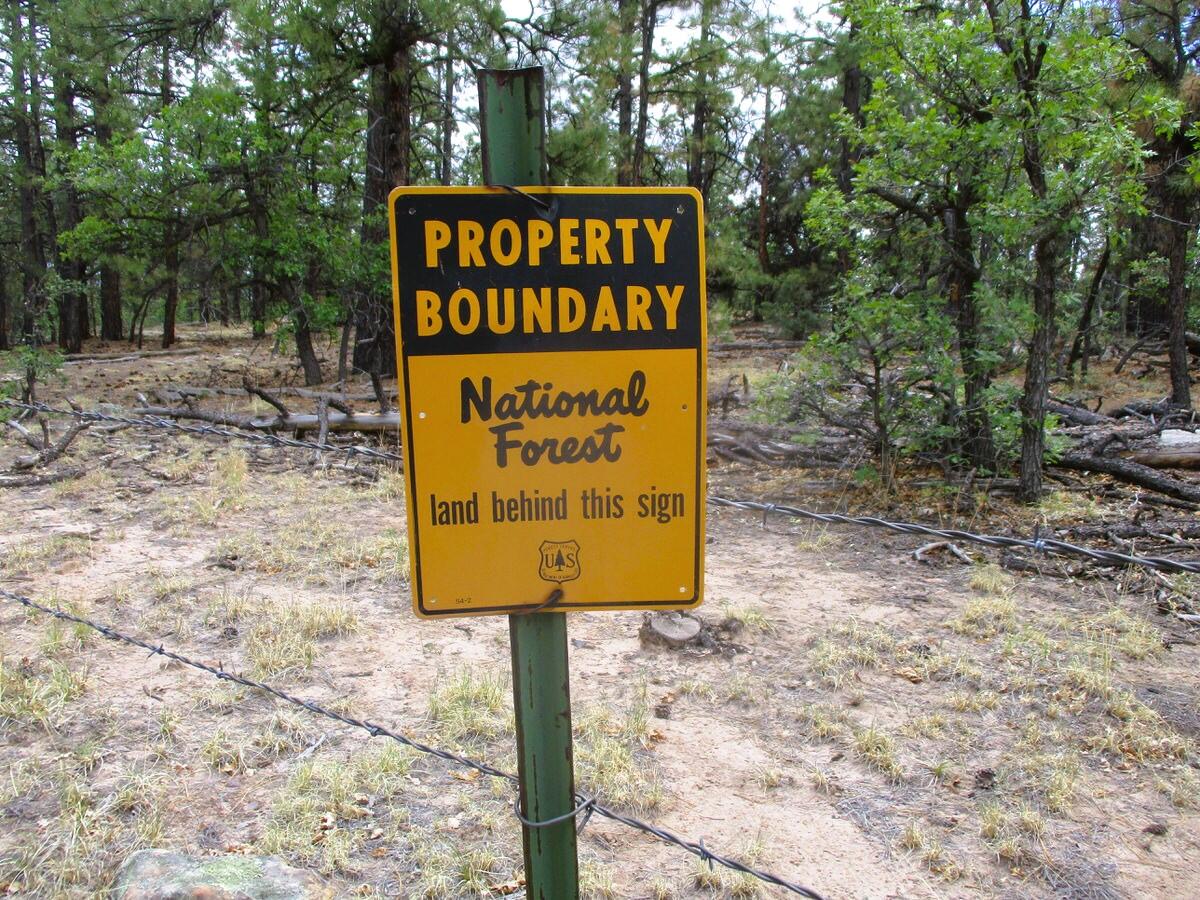Photo 9 —  Forest Road 157