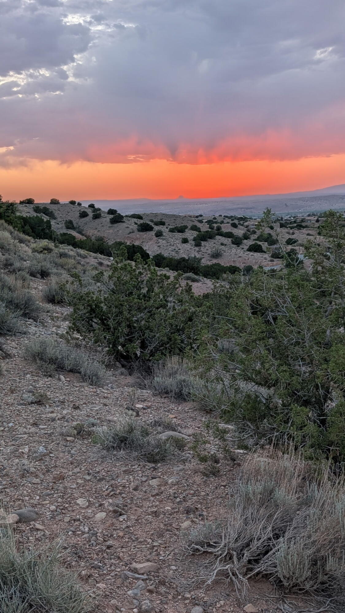 Photo 10 —  Lot 43, CIENEGA CANYON Road