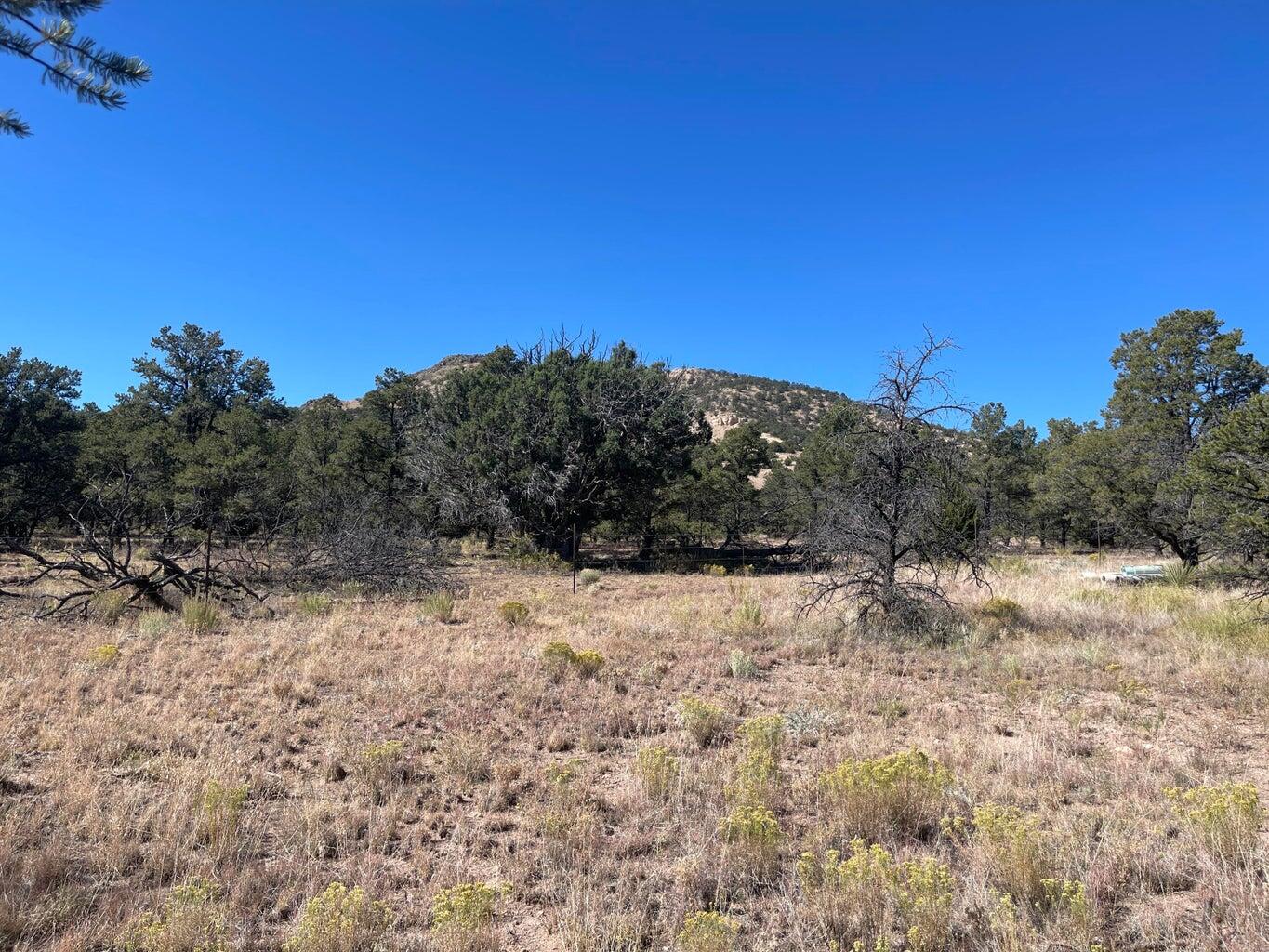 Photo 12 — 111 HOMESTEAD Trail