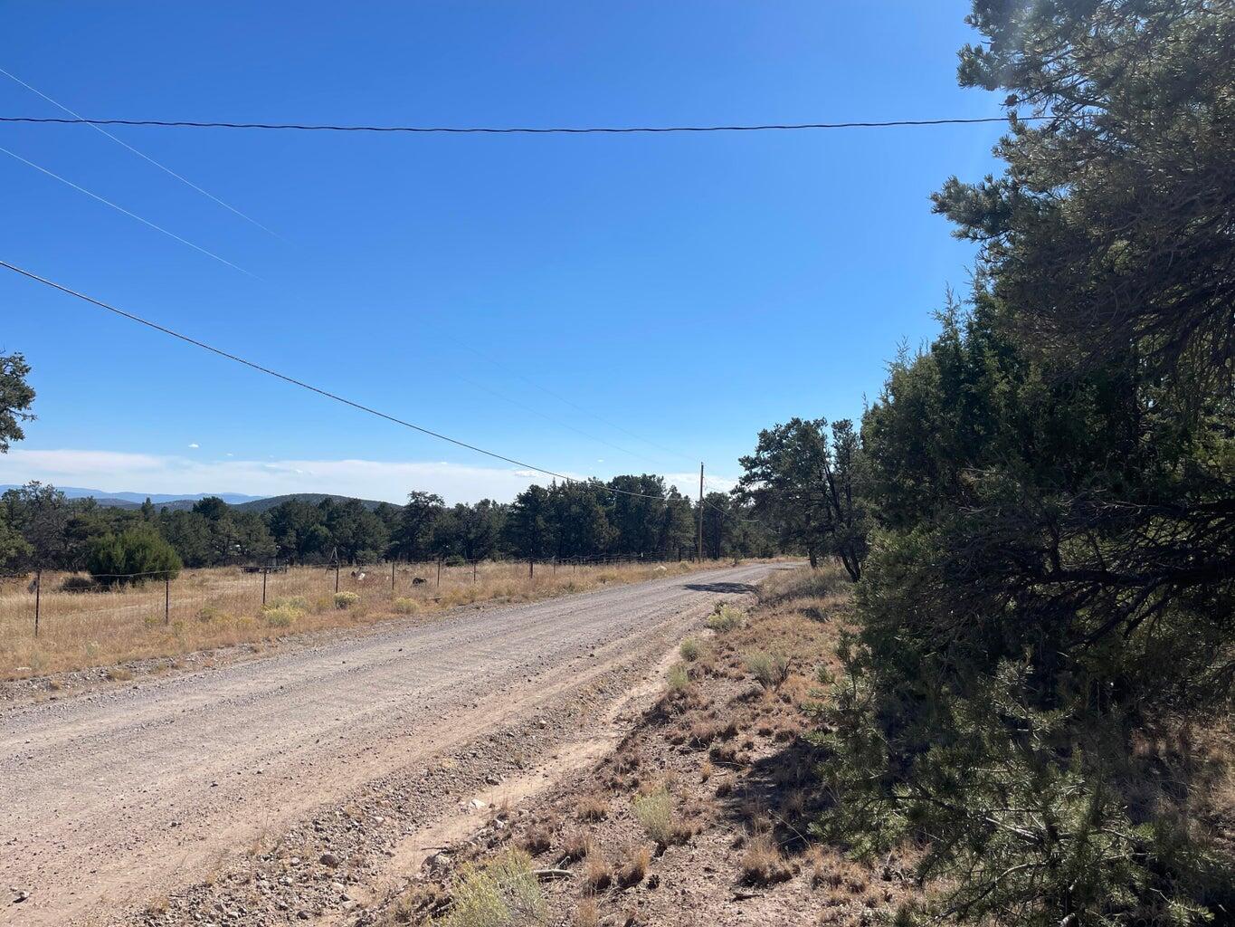 Photo 4 — 111 HOMESTEAD Trail