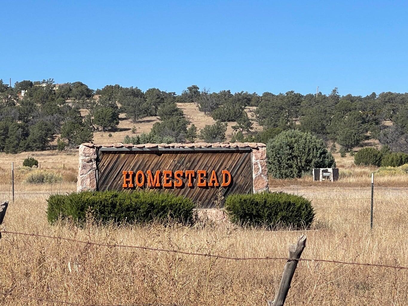 Photo 2 — 111 HOMESTEAD Trail