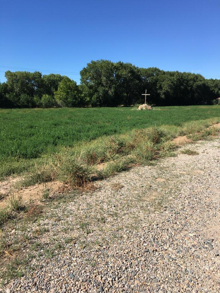 Photo 3 —  HIGHWAY 313 NM