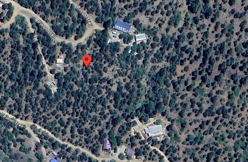 Photo 5 —  Pinon Trail