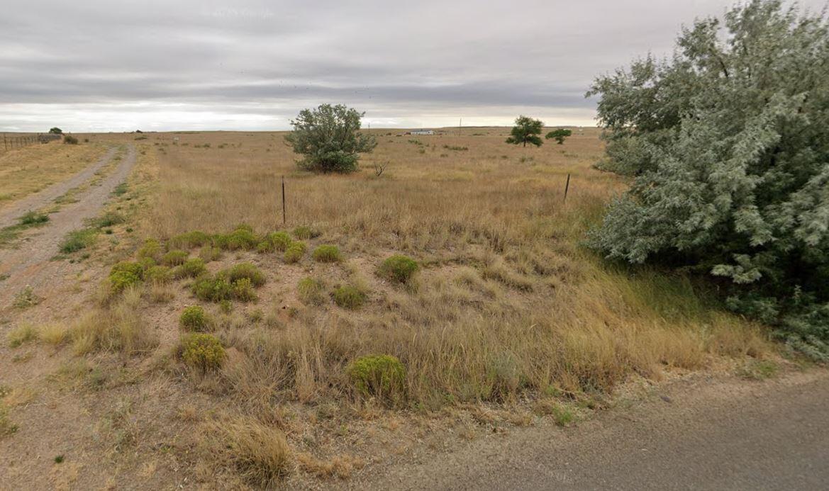 Photo 3 —  Pinto Drive