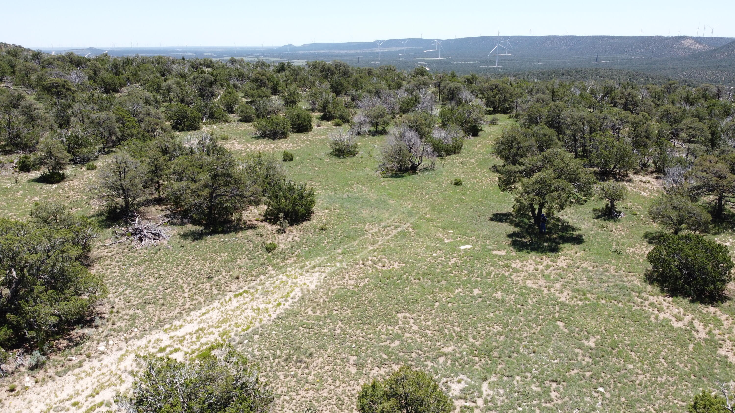 Lot 16 Swayback Trail