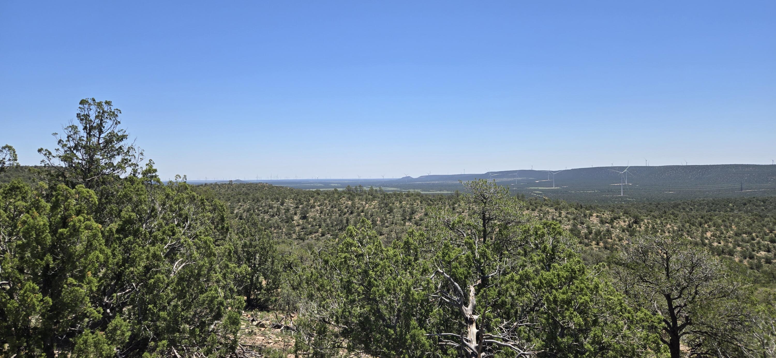 Photo 4 — Lot 16 Swayback Trail