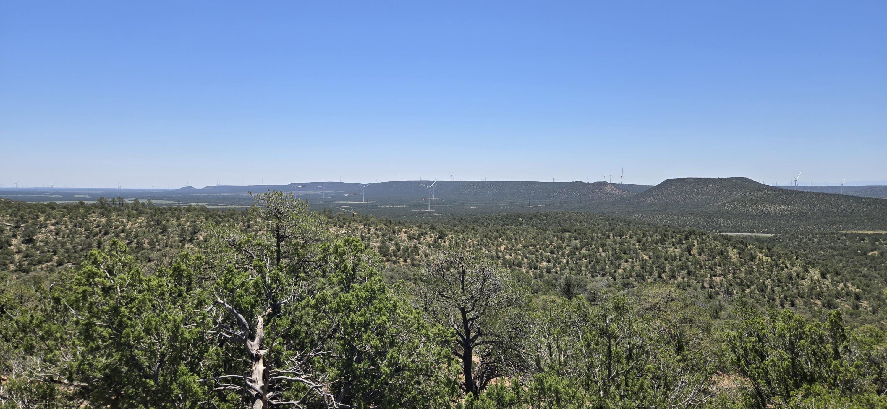 Photo 5 — Lot 16 Swayback Trail