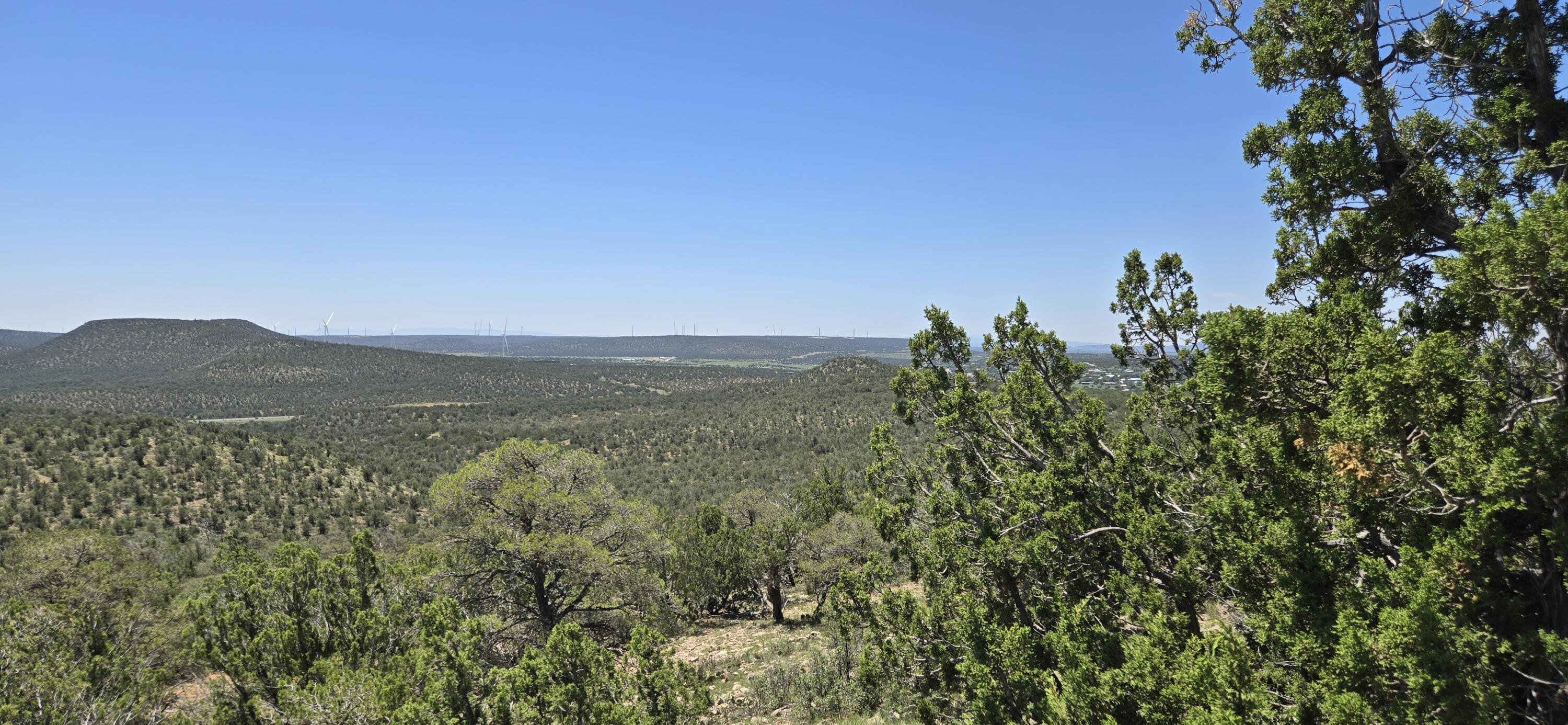 Photo 6 — Lot 16 Swayback Trail