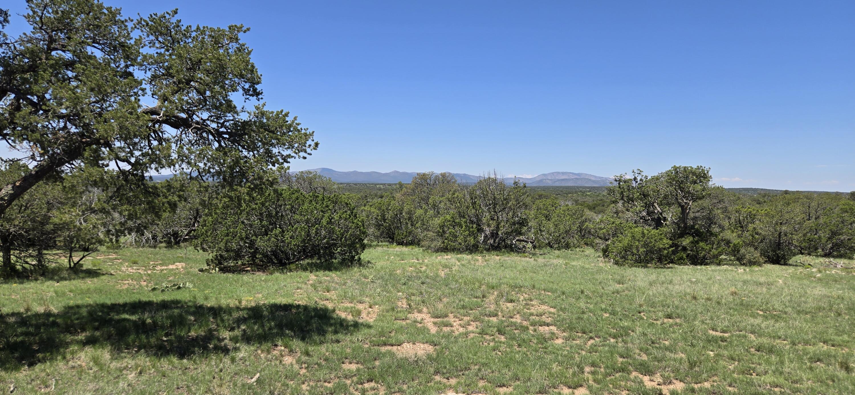 Photo 7 — Lot 16 Swayback Trail