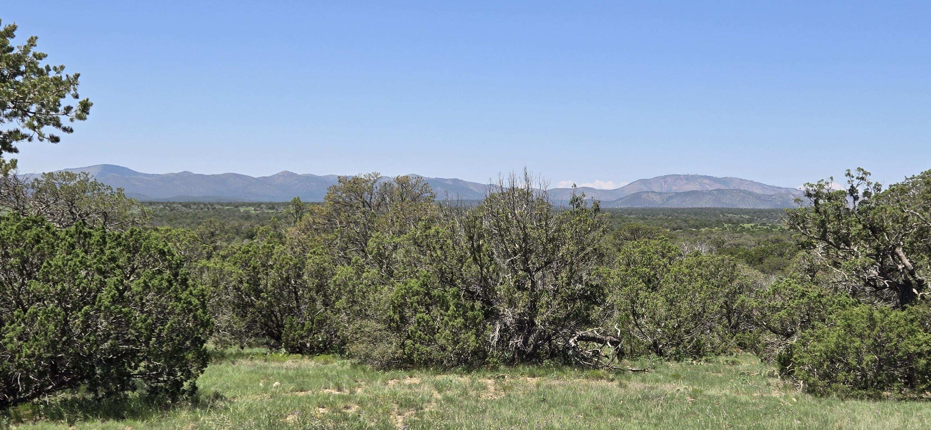Photo 8 — Lot 16 Swayback Trail