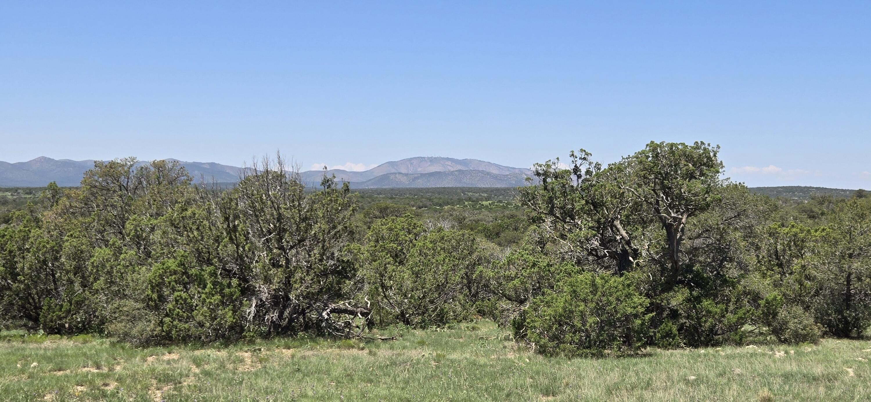 Photo 9 — Lot 16 Swayback Trail