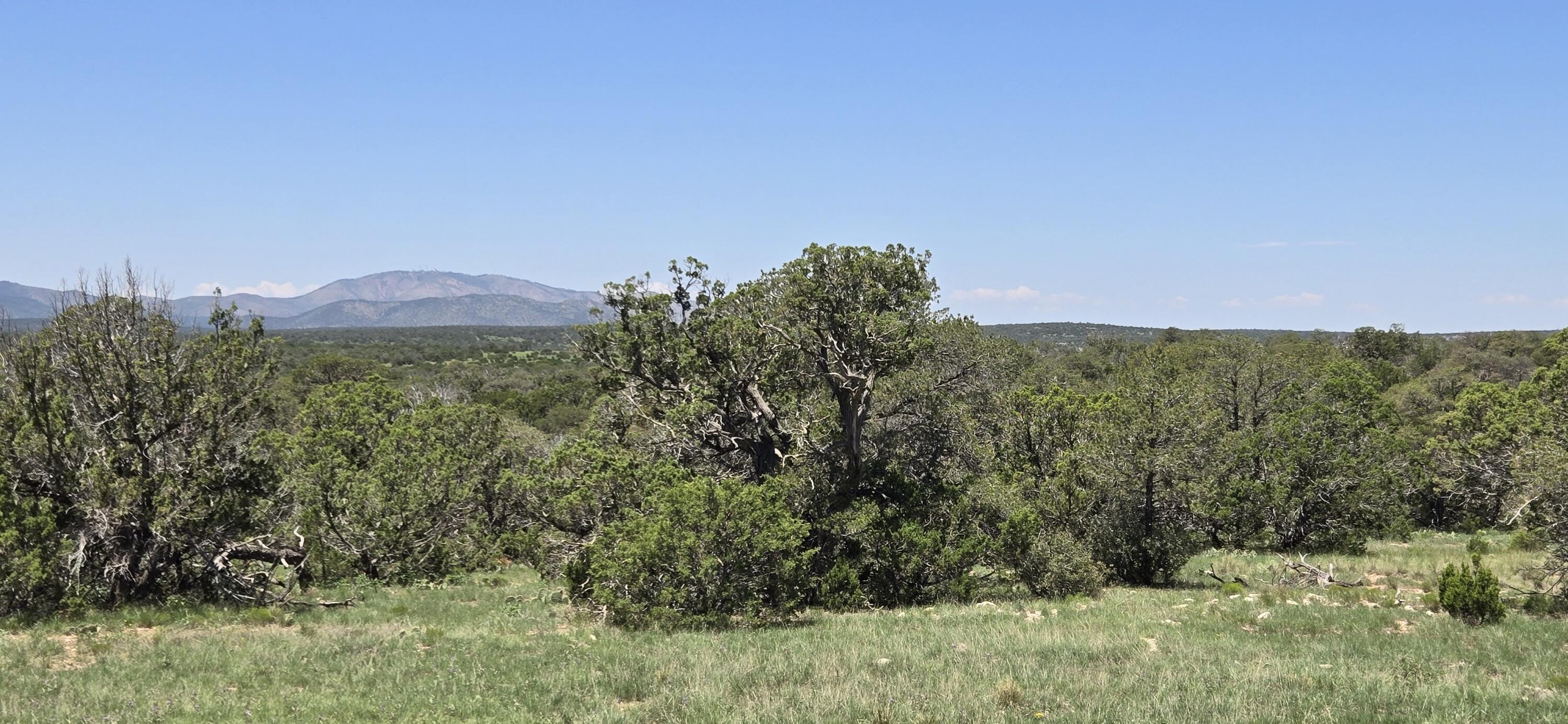 Photo 10 — Lot 16 Swayback Trail