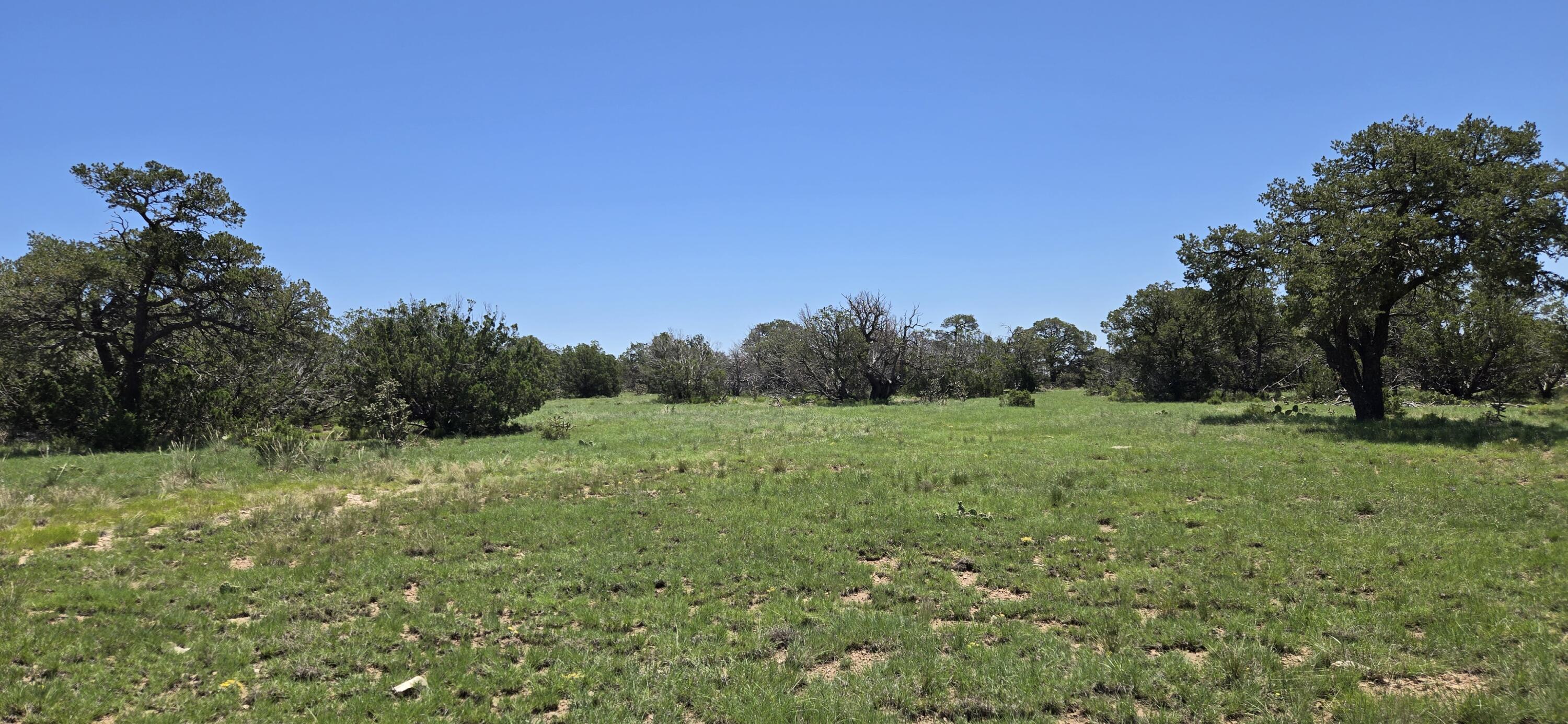 Photo 12 — Lot 16 Swayback Trail