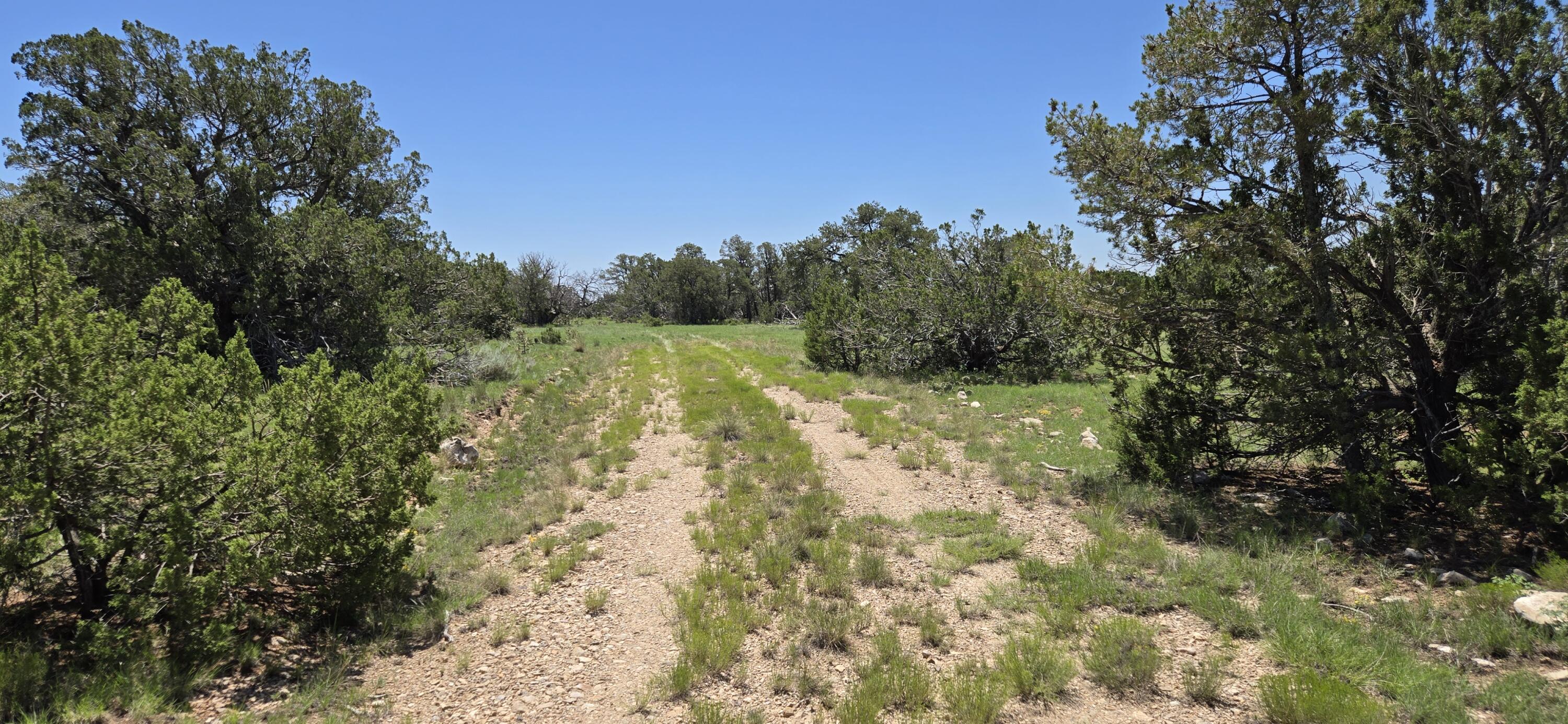 Photo 13 — Lot 16 Swayback Trail