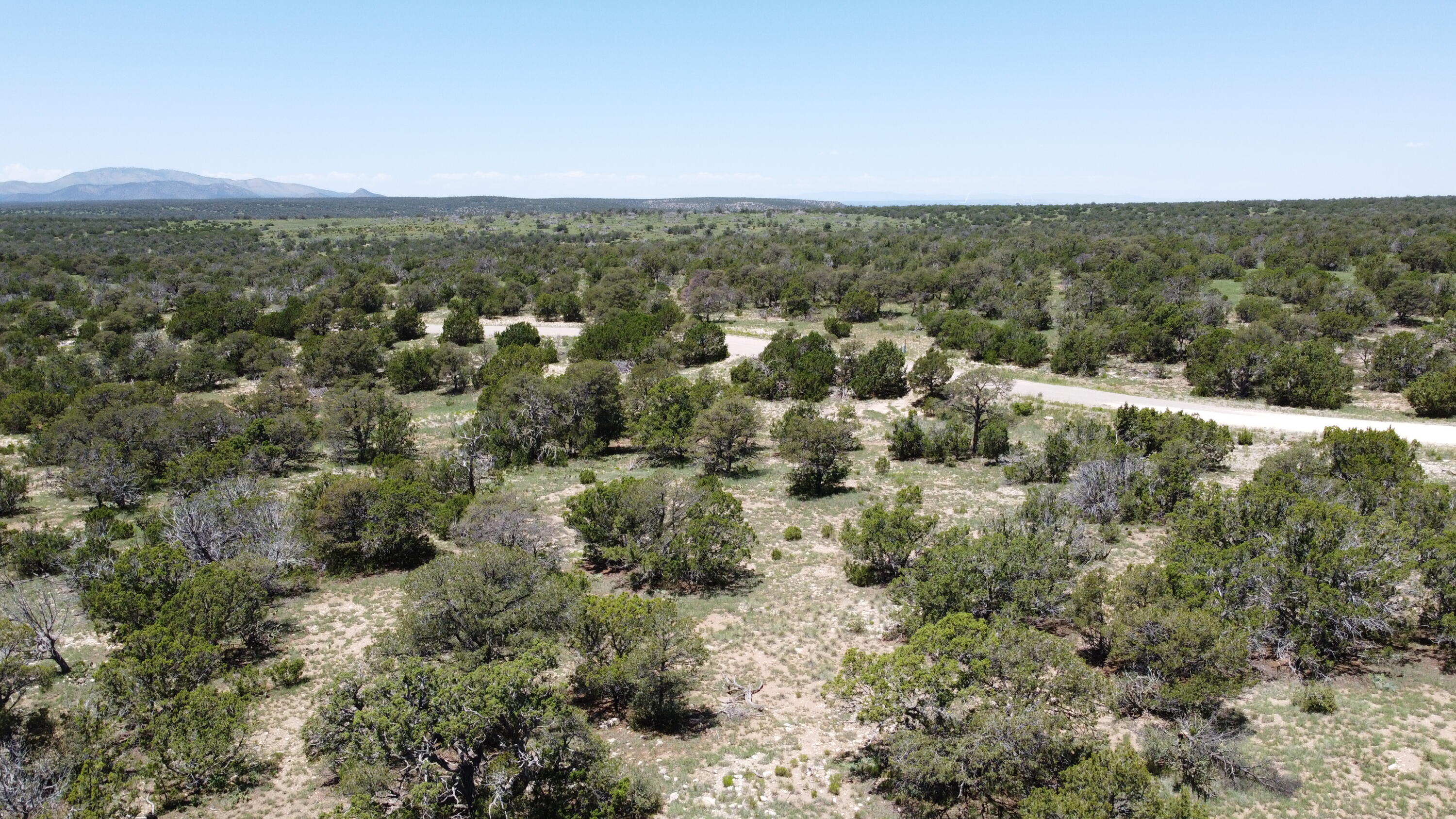Photo 15 — Lot 16 Swayback Trail