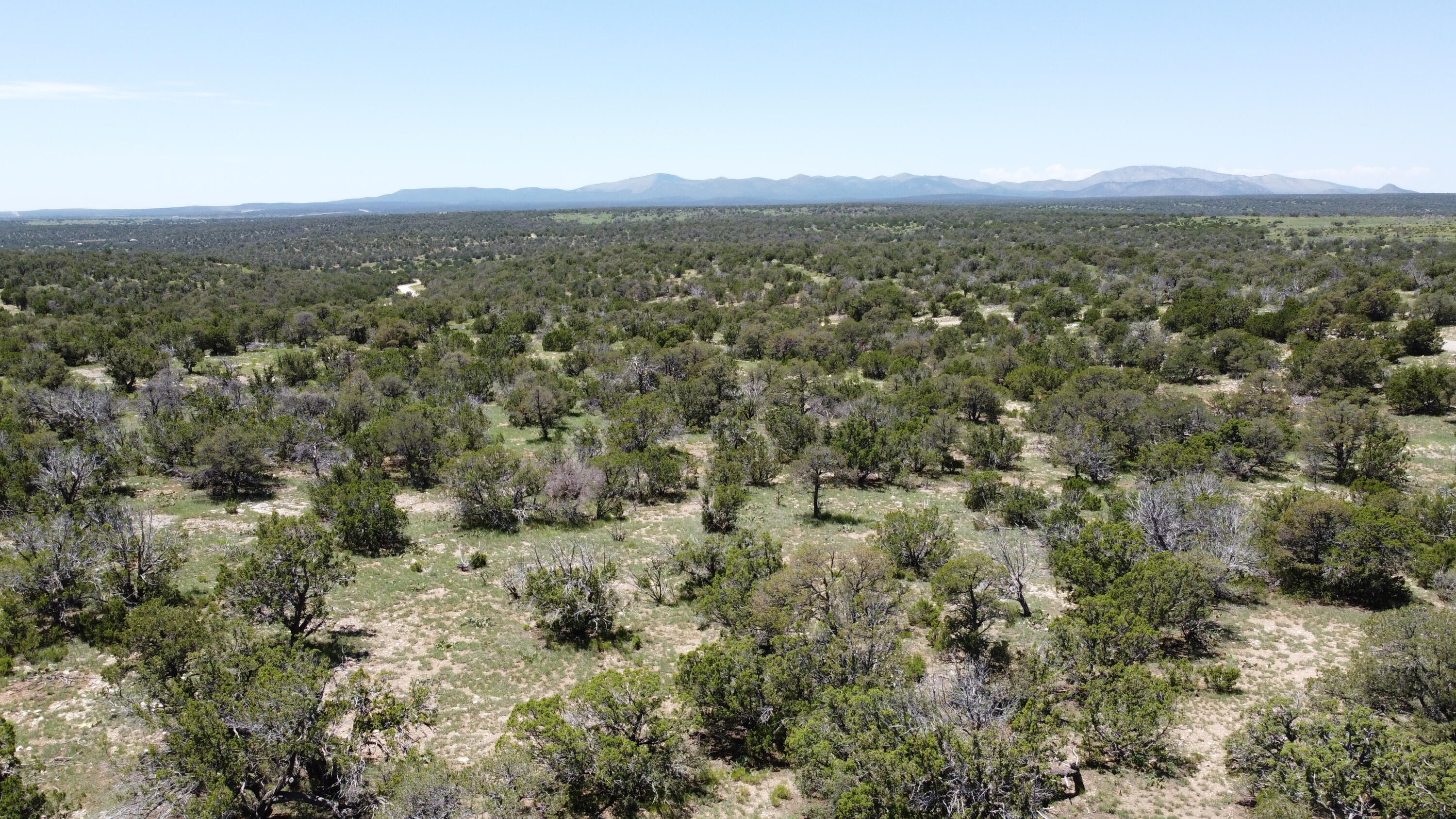 Photo 16 — Lot 16 Swayback Trail