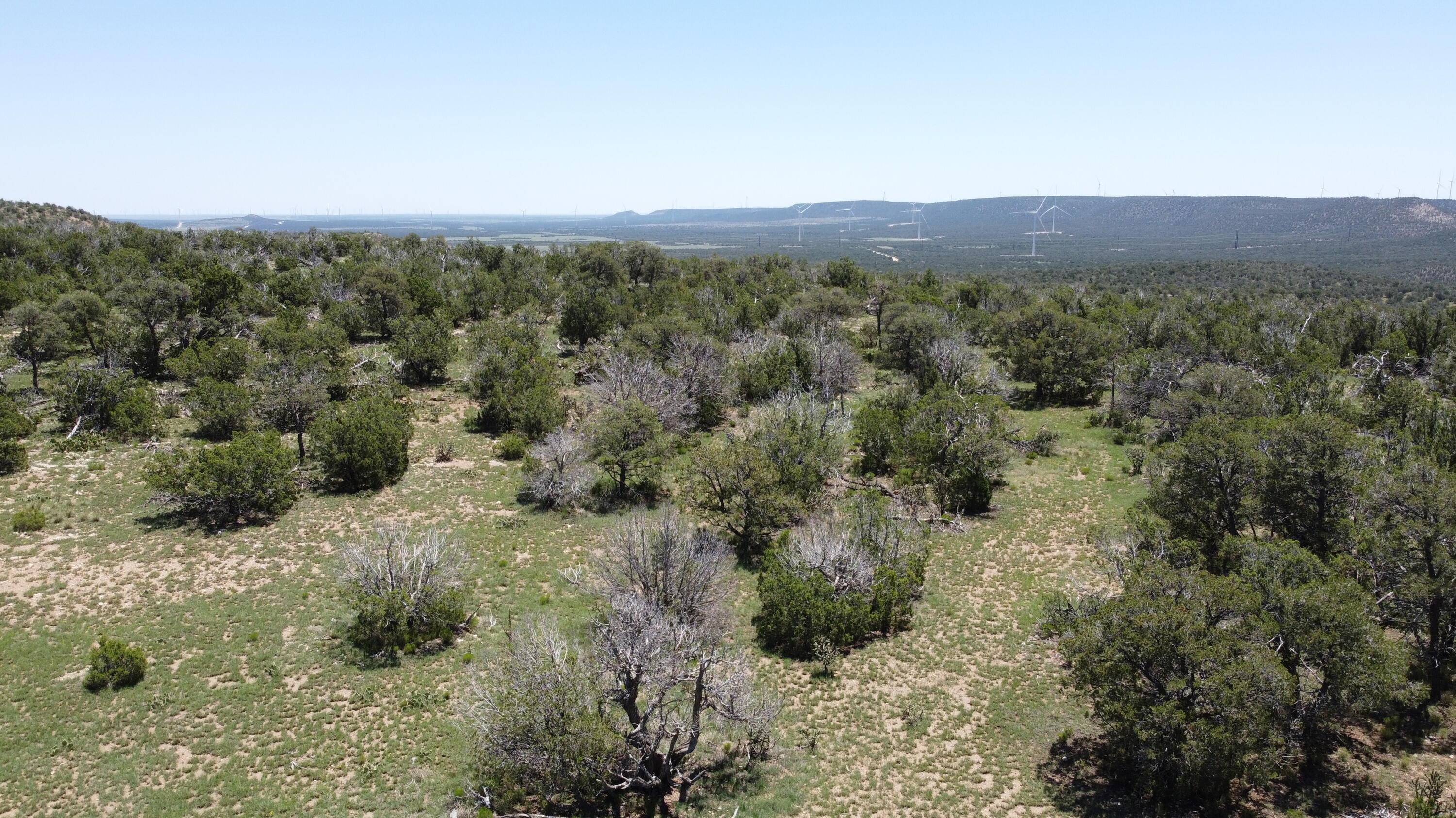 Photo 18 — Lot 16 Swayback Trail