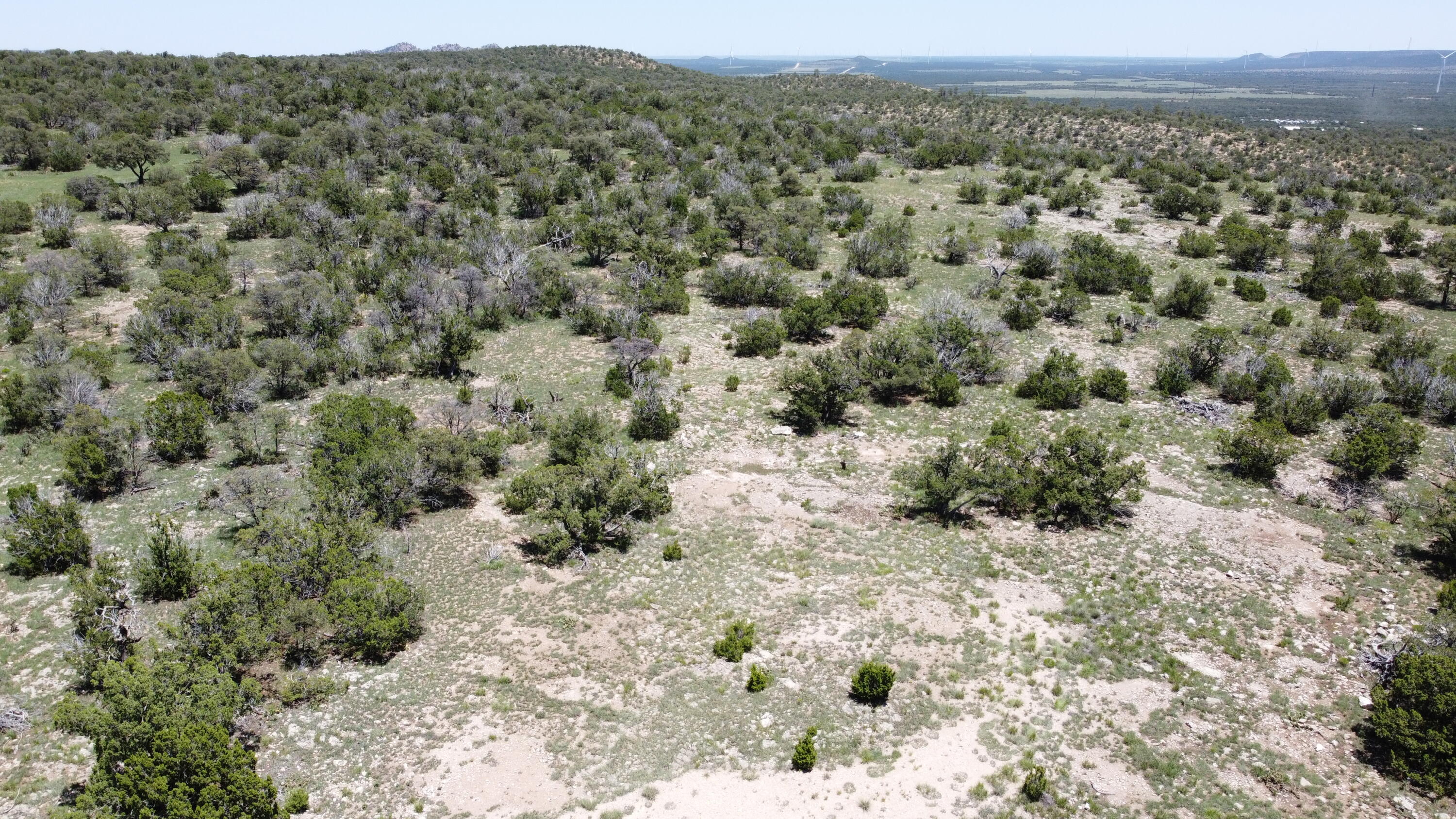 Lot 17 Swayback Trail