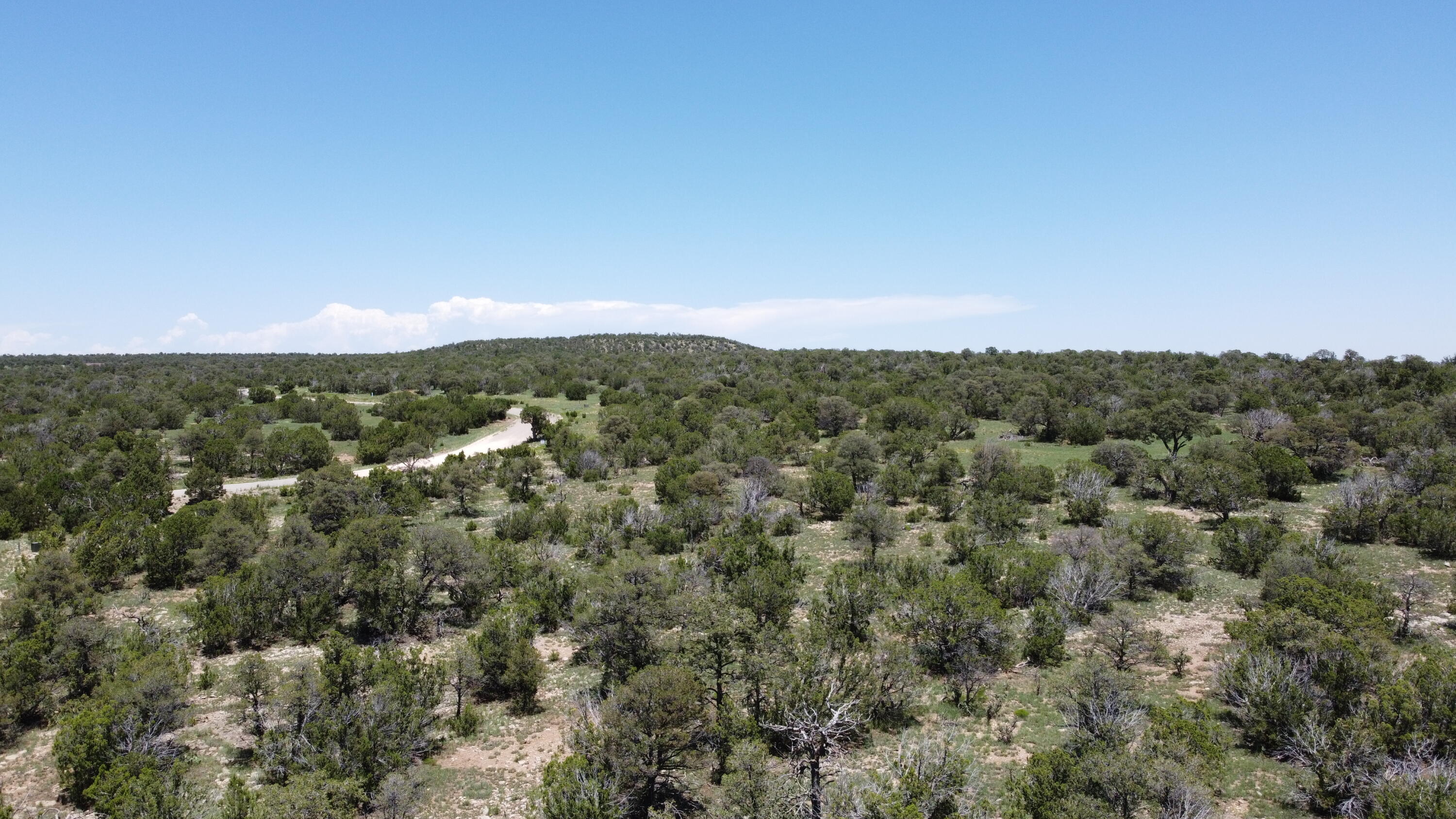 Photo 20 — Lot 17 Swayback Trail