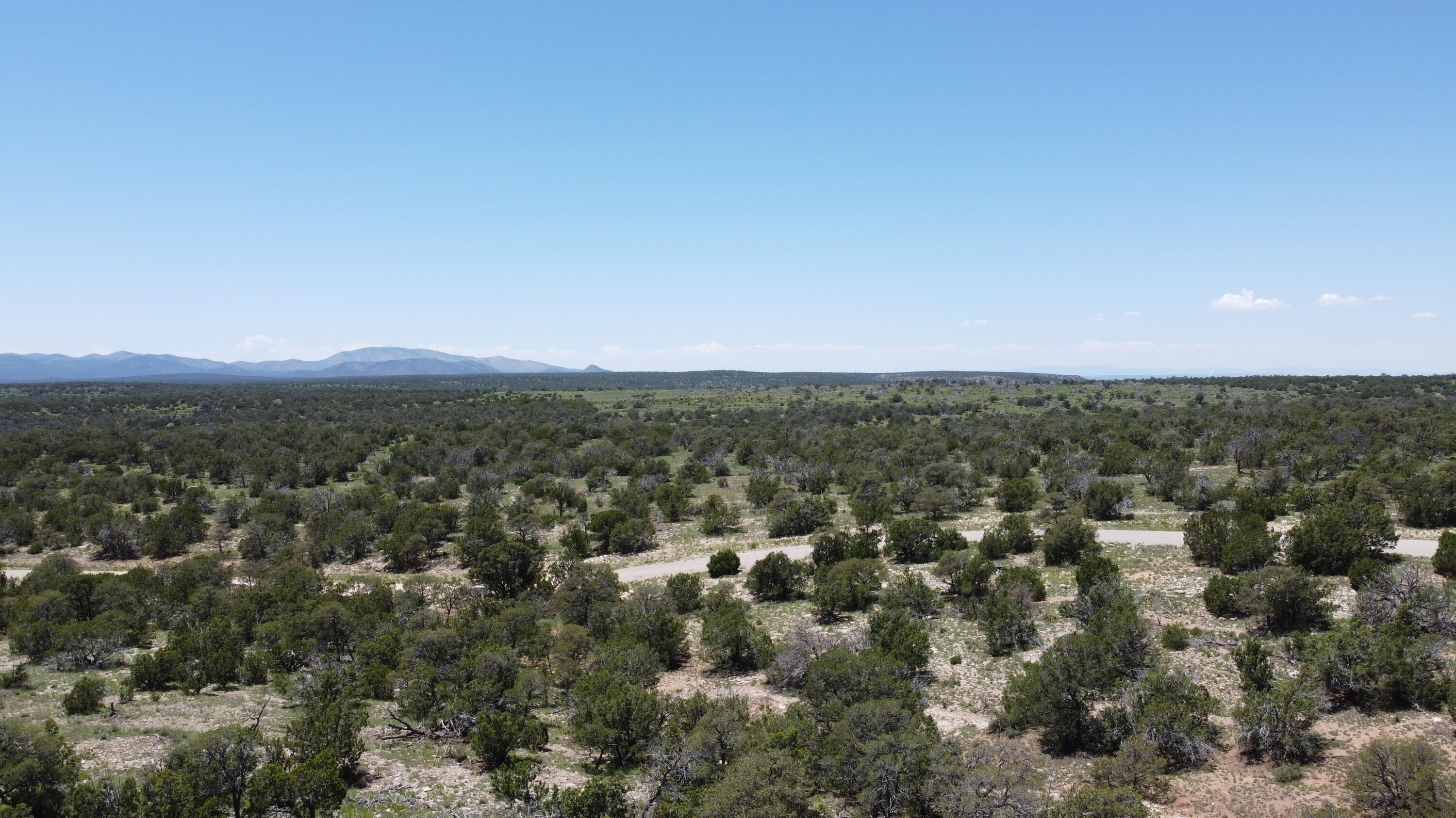 Photo 2 — Lot 17 Swayback Trail