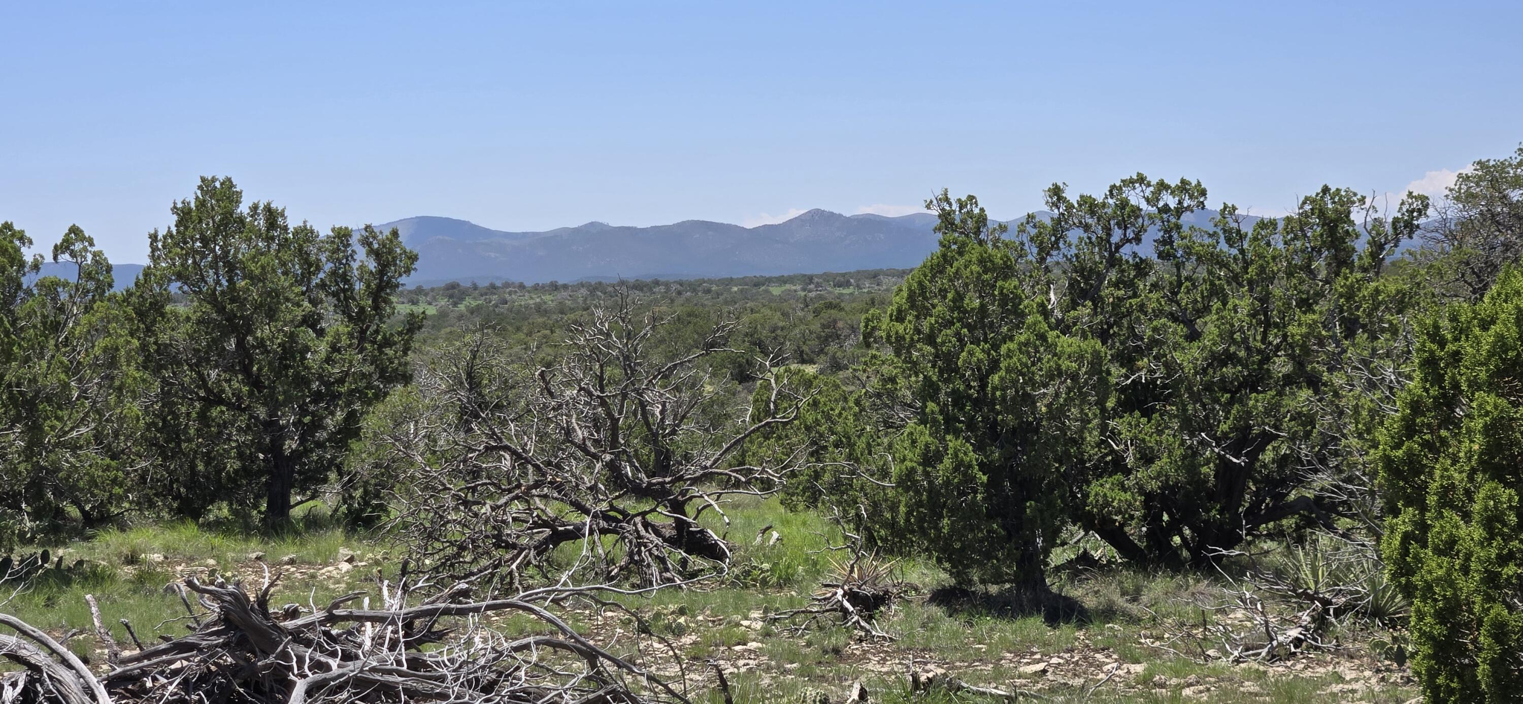 Photo 3 — Lot 17 Swayback Trail