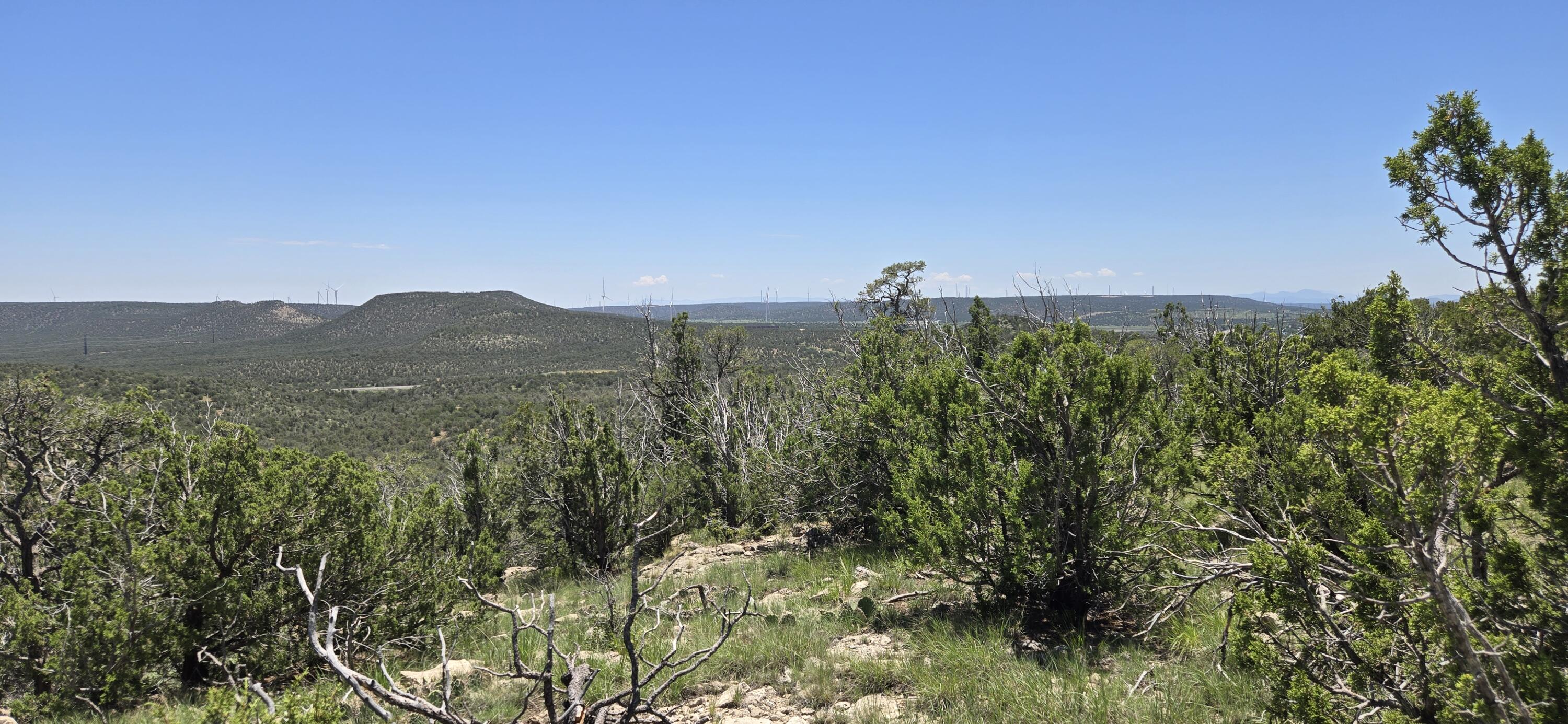 Photo 4 — Lot 17 Swayback Trail
