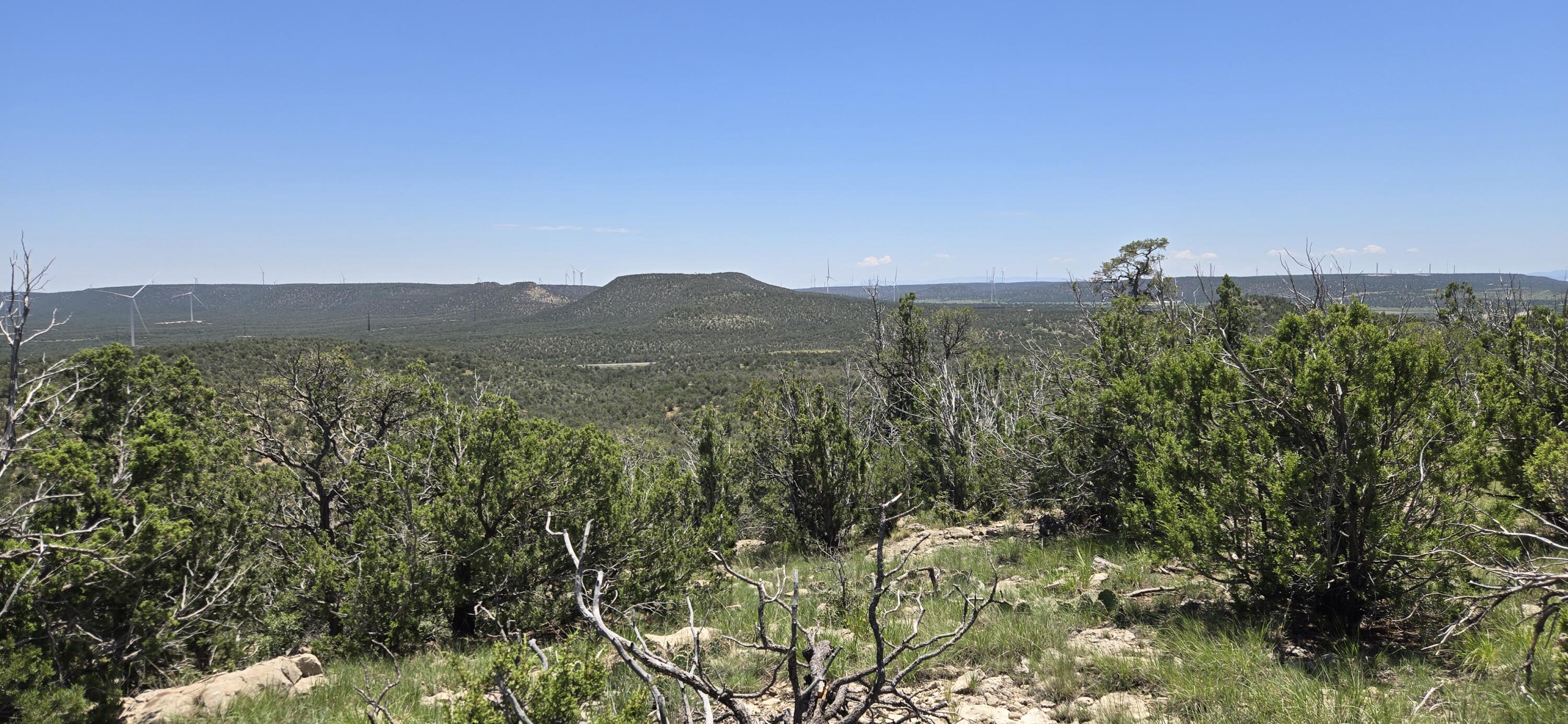 Photo 5 — Lot 17 Swayback Trail