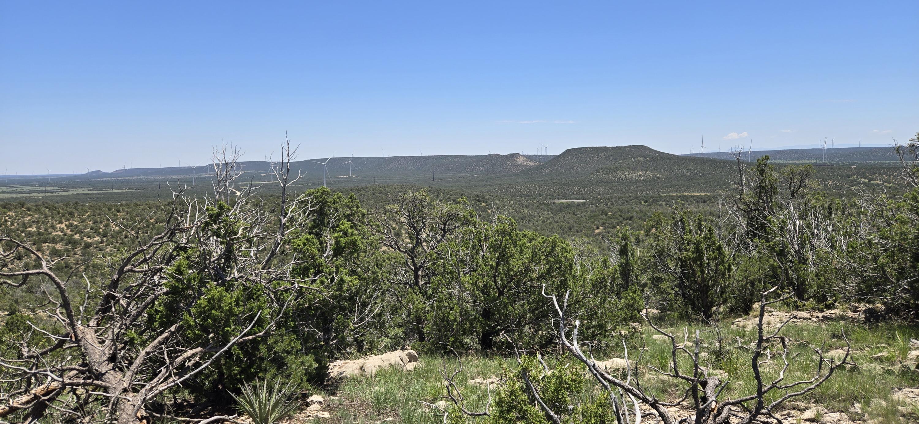 Photo 6 — Lot 17 Swayback Trail