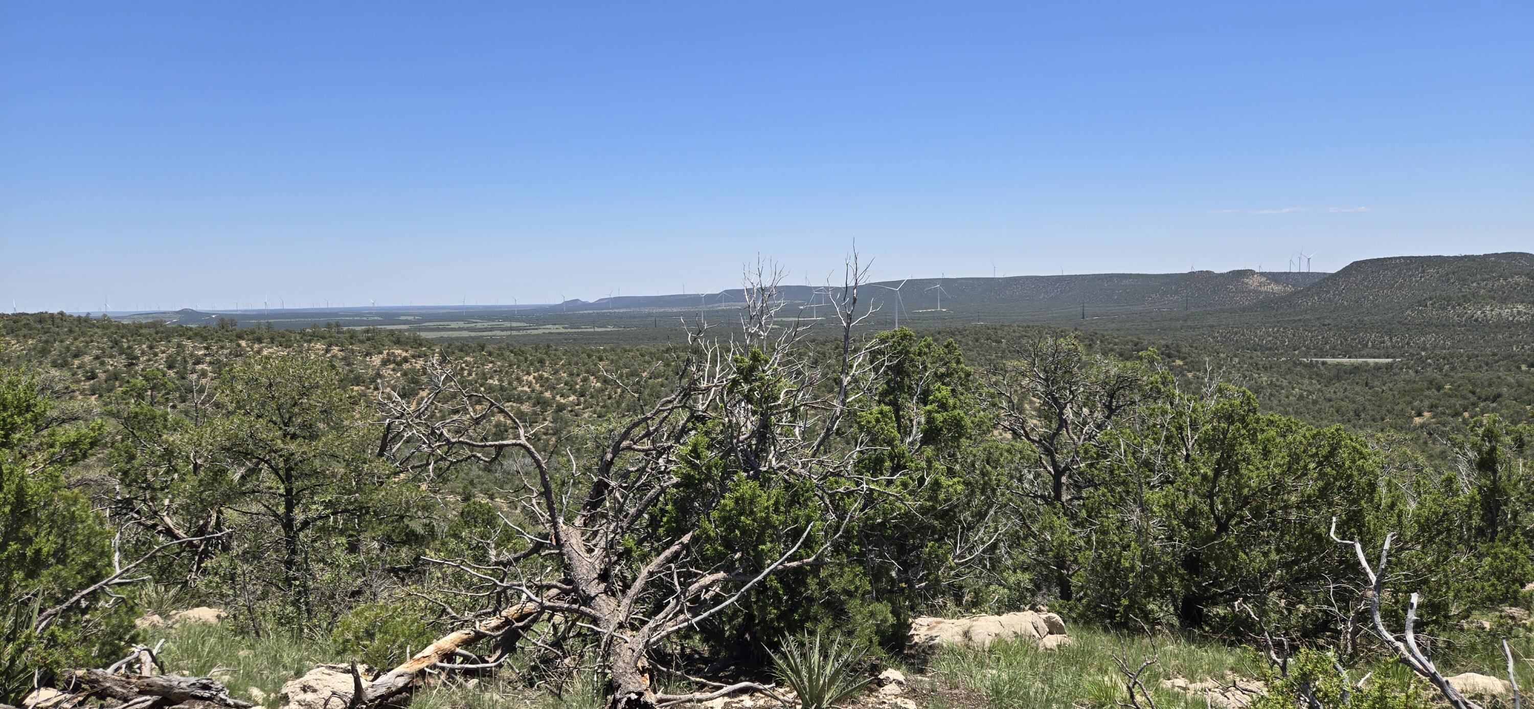 Photo 7 — Lot 17 Swayback Trail