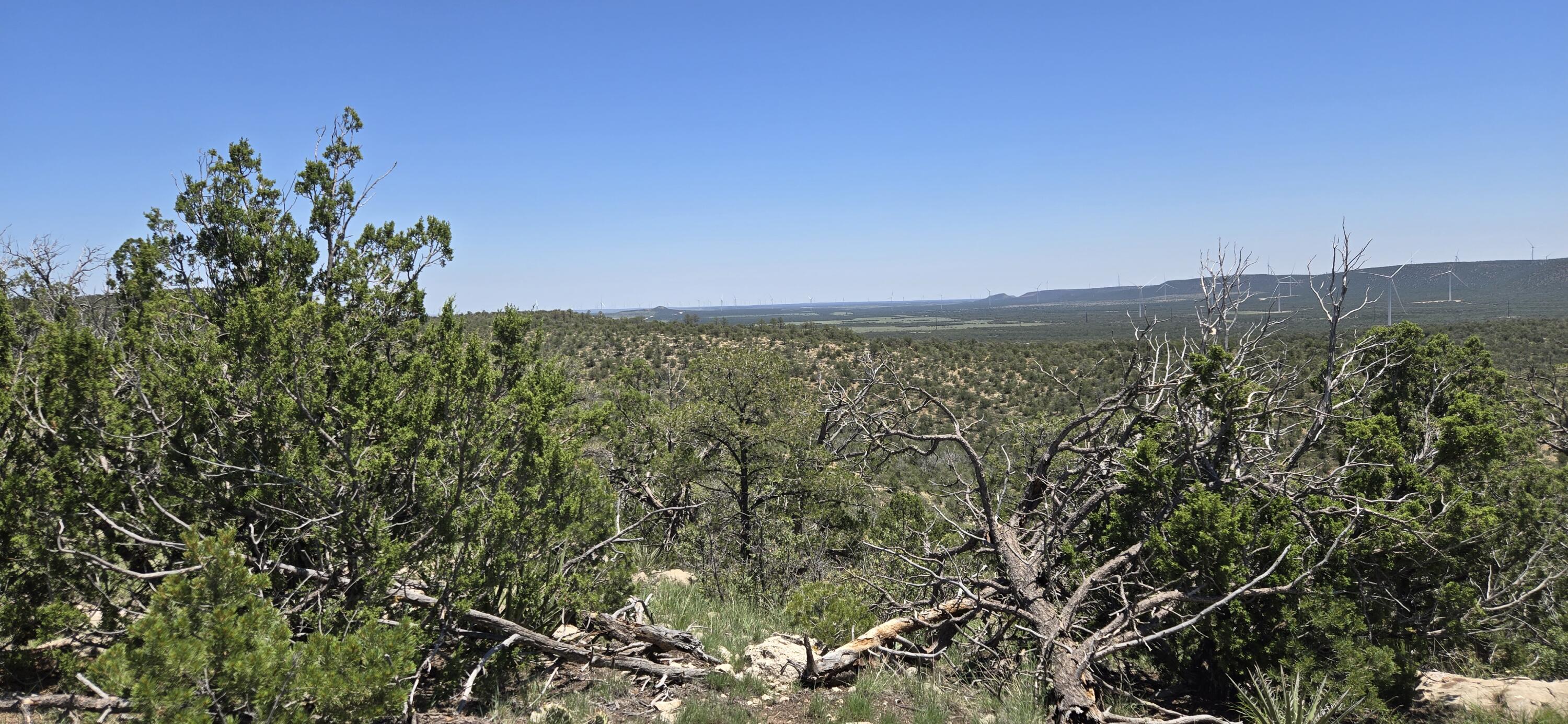 Photo 8 — Lot 17 Swayback Trail