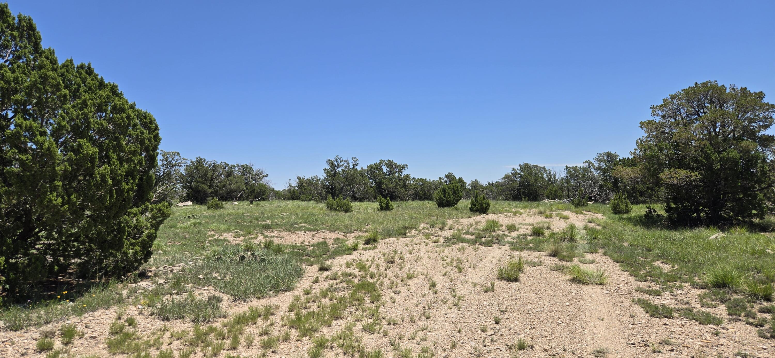 Photo 10 — Lot 17 Swayback Trail