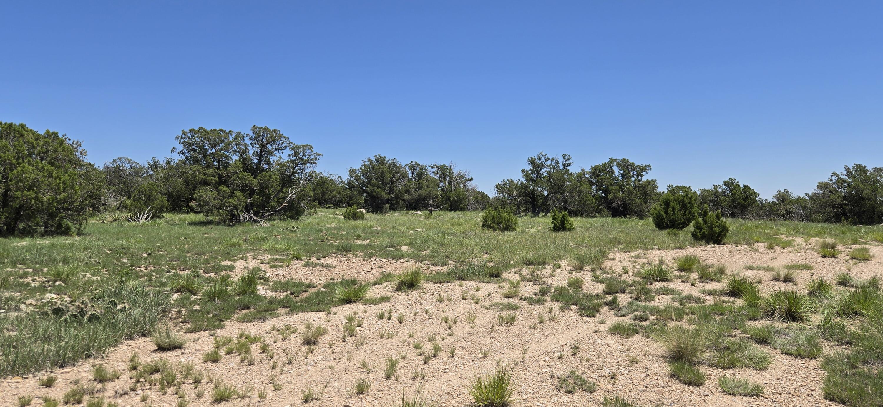 Photo 12 — Lot 17 Swayback Trail