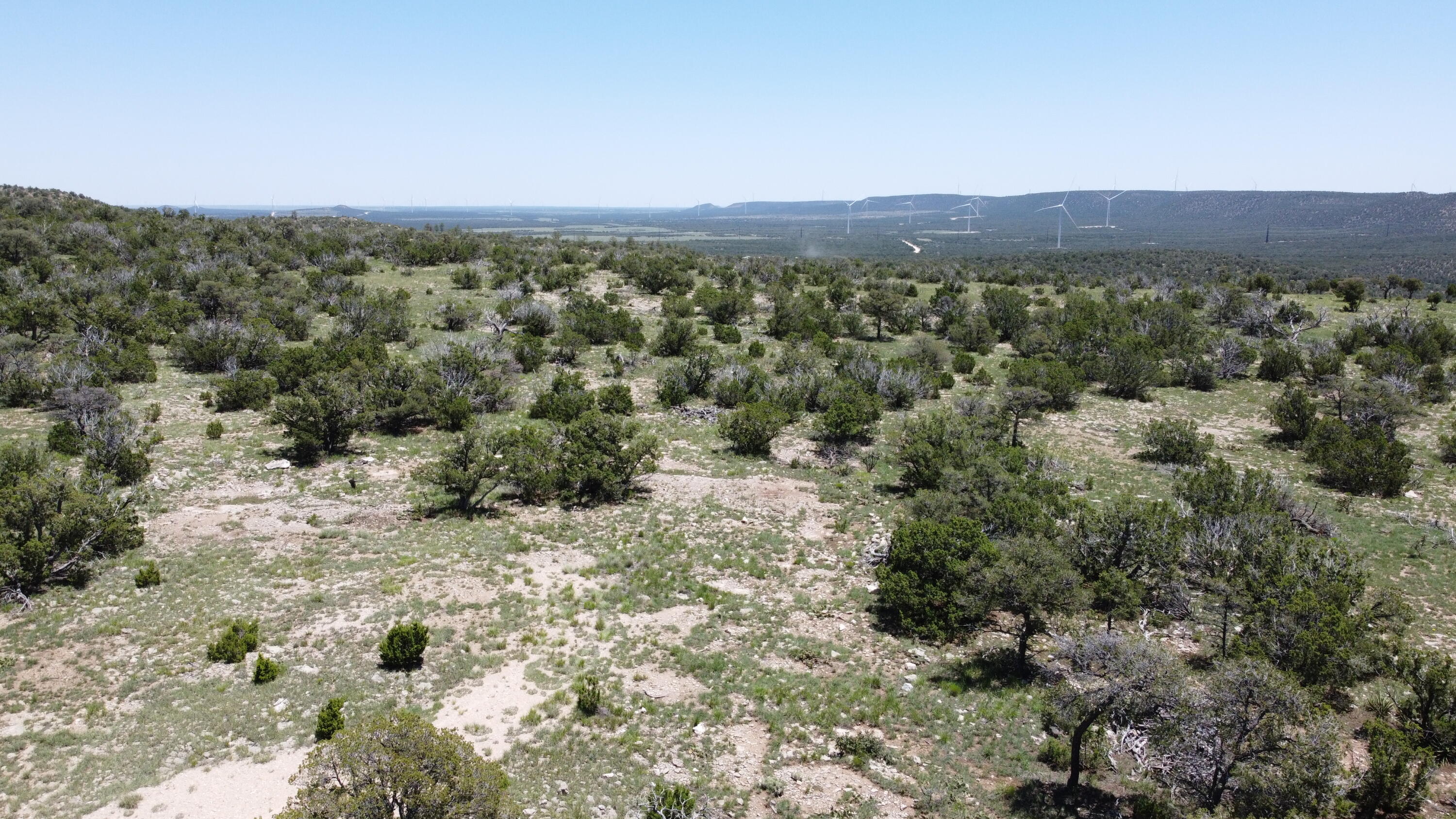 Photo 14 — Lot 17 Swayback Trail
