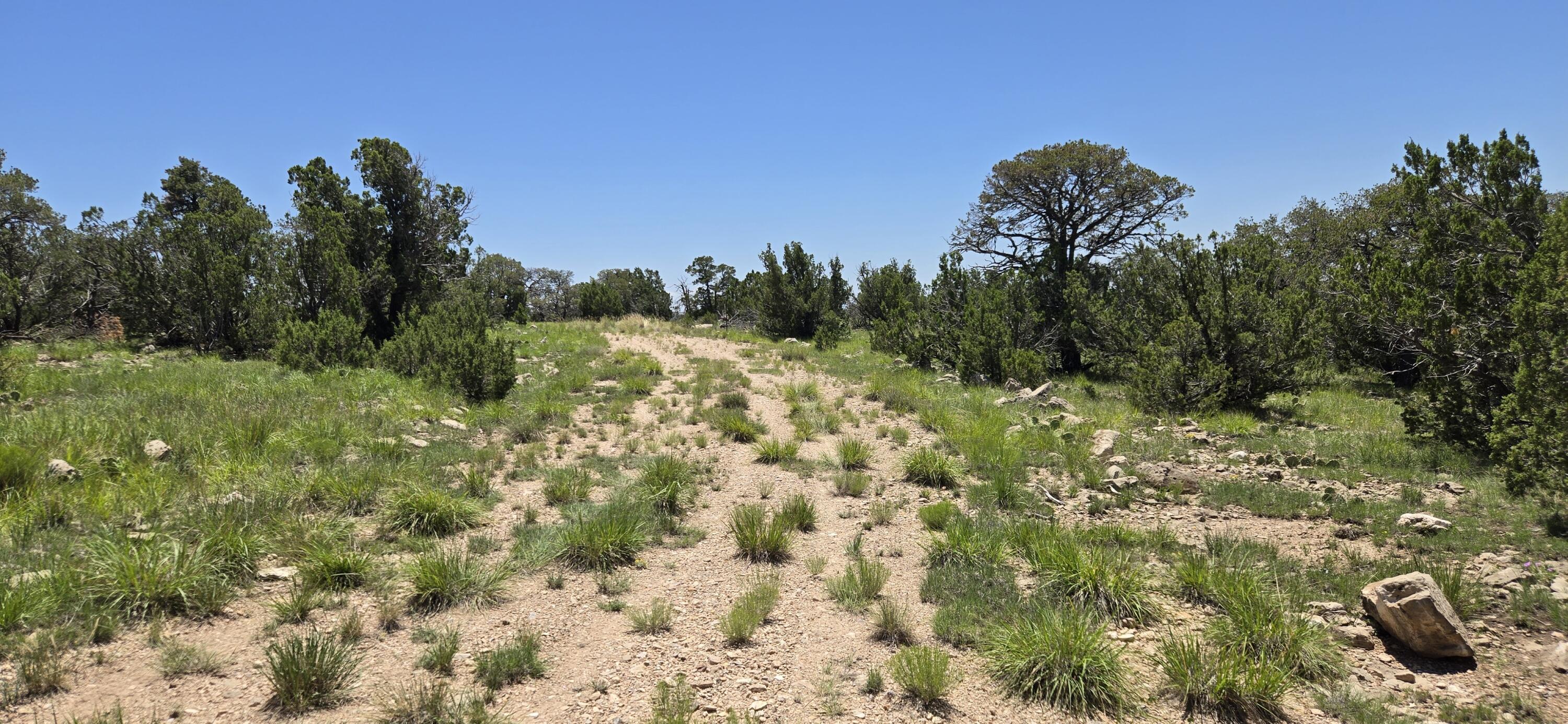 Photo 15 — Lot 17 Swayback Trail