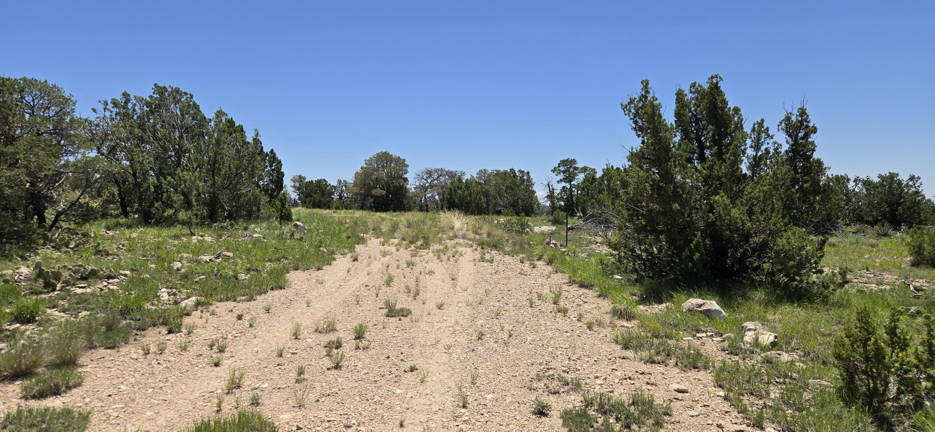 Photo 16 — Lot 17 Swayback Trail