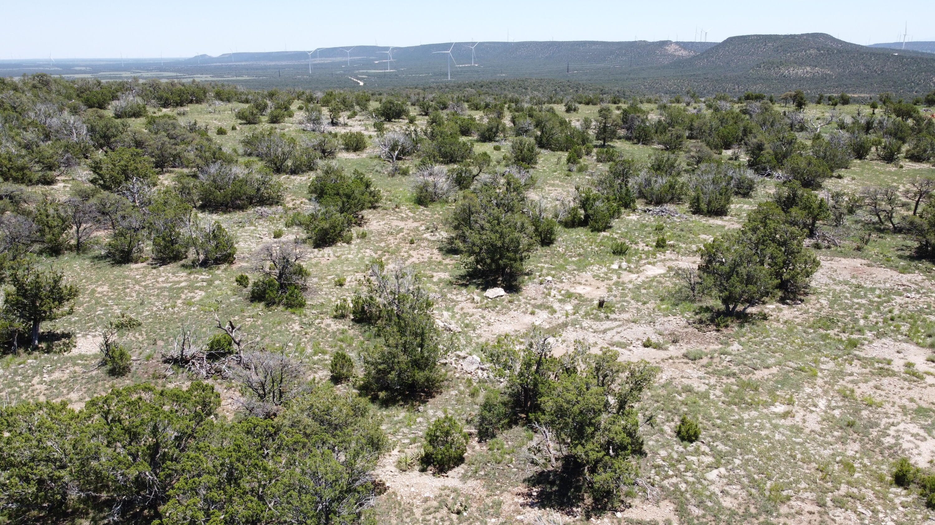 Photo 18 — Lot 17 Swayback Trail