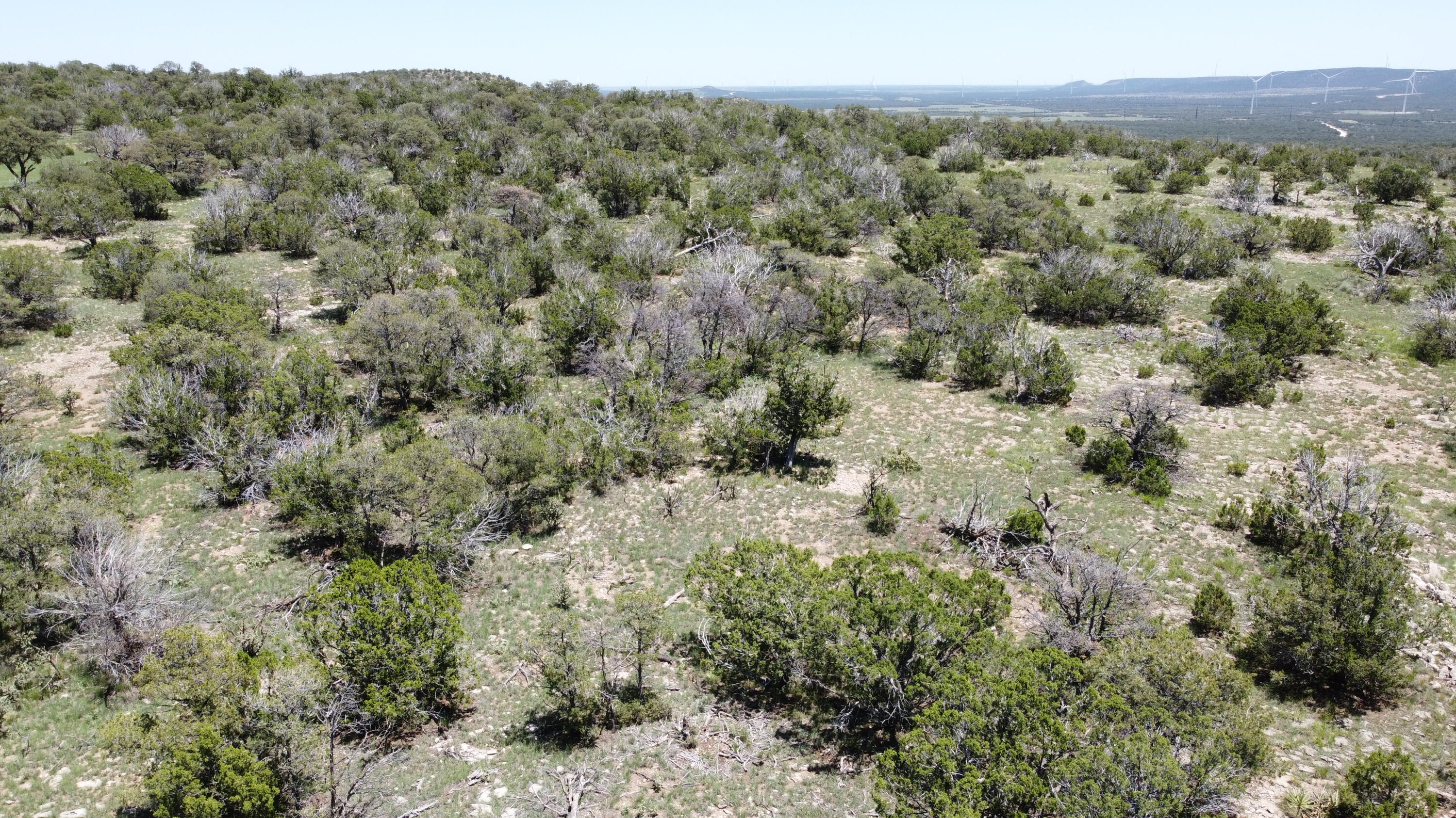 Photo 19 — Lot 17 Swayback Trail