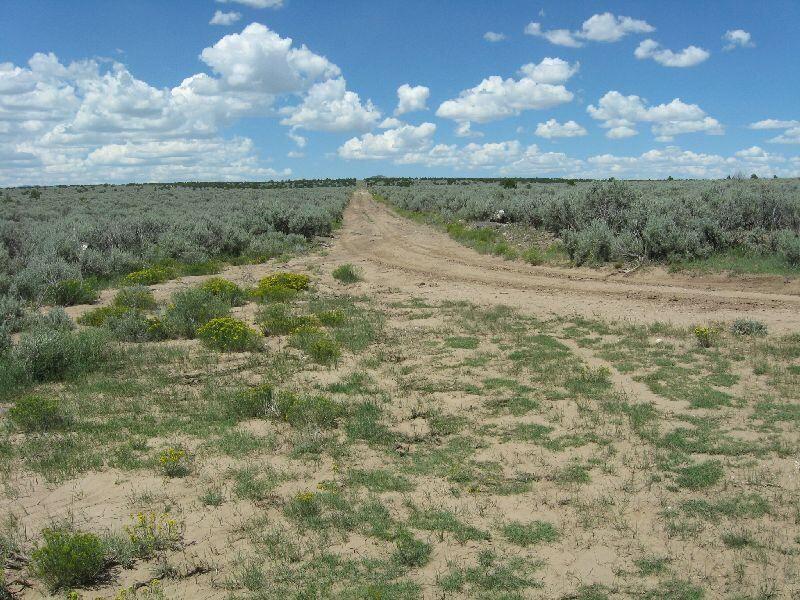 Photo 2 —  US-64 Tres Piedras