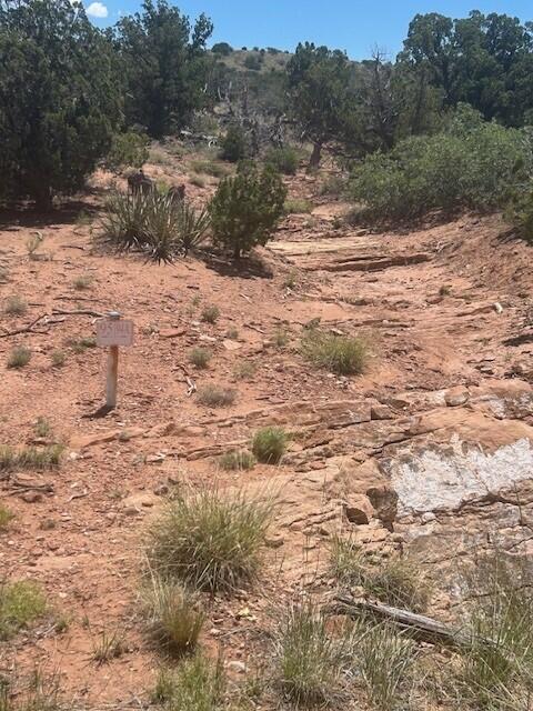 Photo 4 — 250 Moonlight Ridge Road