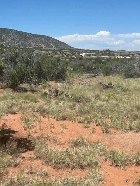 Photo 2 — 250 Moonlight Ridge Road