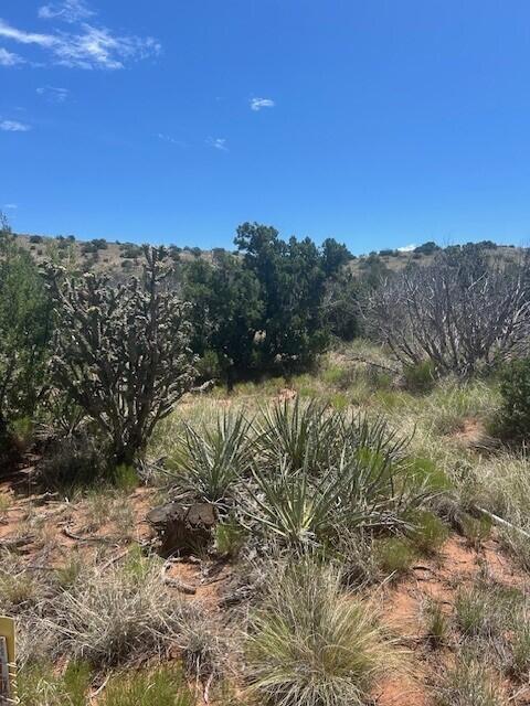Photo 3 — 269 Star Meadow Road