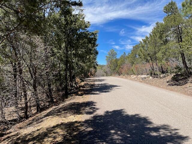 Photo 3 — 46 BIG DIPPER Road