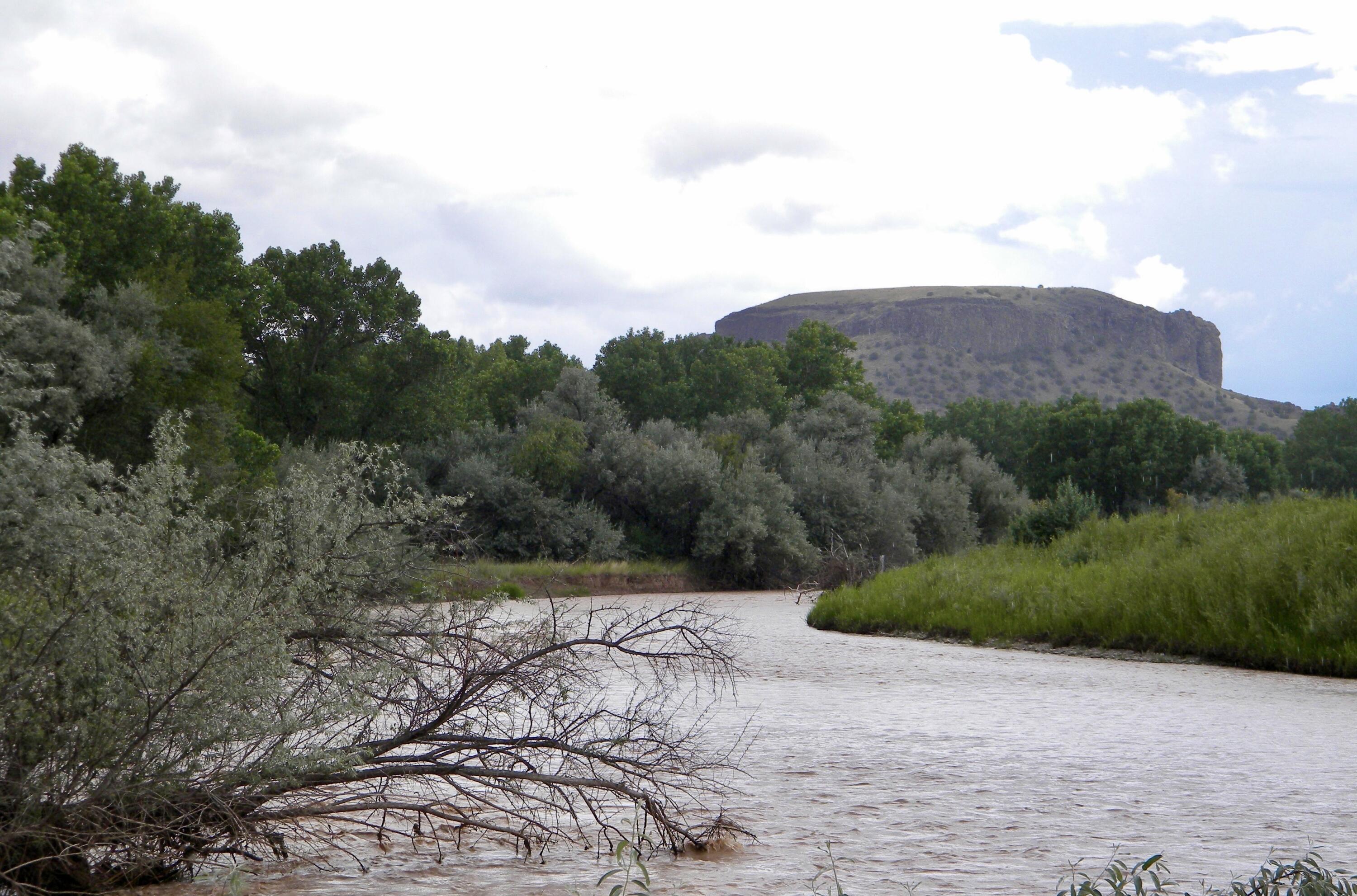  Co Rd 120, La Mesilla, NM 87532