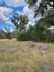 Photo 19 —  Co Rd 120