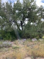 Photo 18 —  Co Rd 120
