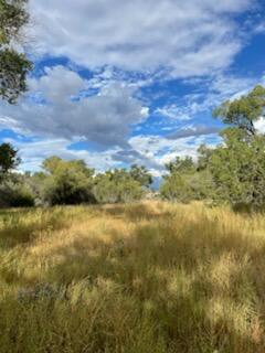 Photo 16 —  Co Rd 120